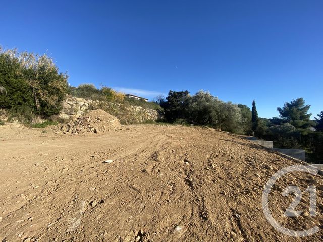 terrain - CASTELNAU DE GUERS - 34