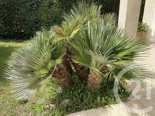 maison à vendre - 5 pièces - 129.57 m2 - PEZENAS - 34 - LANGUEDOC-ROUSSILLON - Century 21 Agi Immobilier