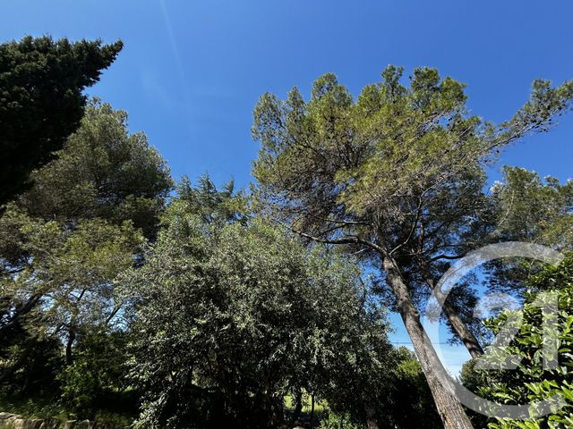 maison à vendre - 4 pièces - 90.0 m2 - CASTELNAU DE GUERS - 34 - LANGUEDOC-ROUSSILLON - Century 21 Agi Immobilier