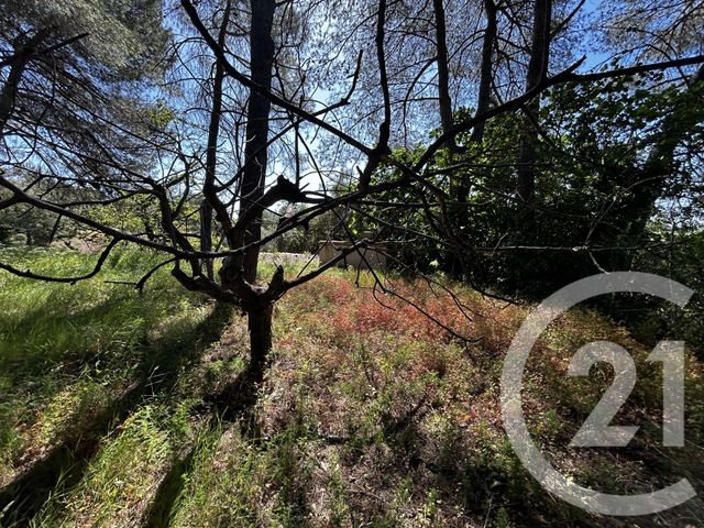 maison à vendre - 4 pièces - 90.0 m2 - CASTELNAU DE GUERS - 34 - LANGUEDOC-ROUSSILLON - Century 21 Agi Immobilier