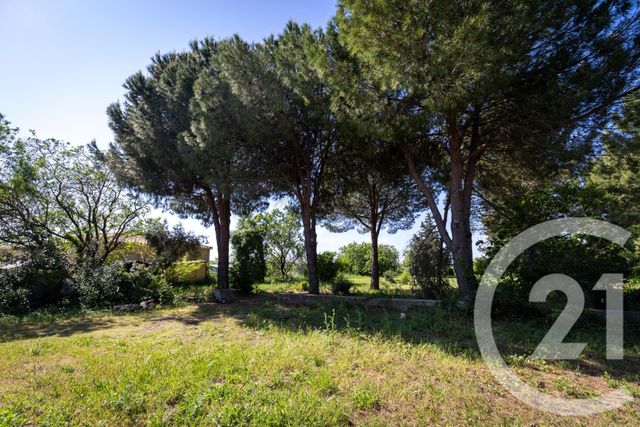 maison à vendre - 7 pièces - 230.0 m2 - PAULHAN - 34 - LANGUEDOC-ROUSSILLON - Century 21 Agi Immobilier