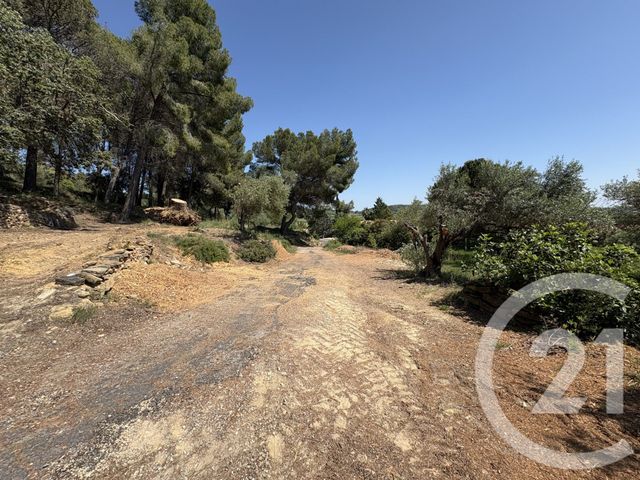 maison à vendre - 4 pièces - 117.0 m2 - NEFFIES - 34 - LANGUEDOC-ROUSSILLON - Century 21 Agi Immobilier